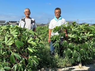 イメージ画像